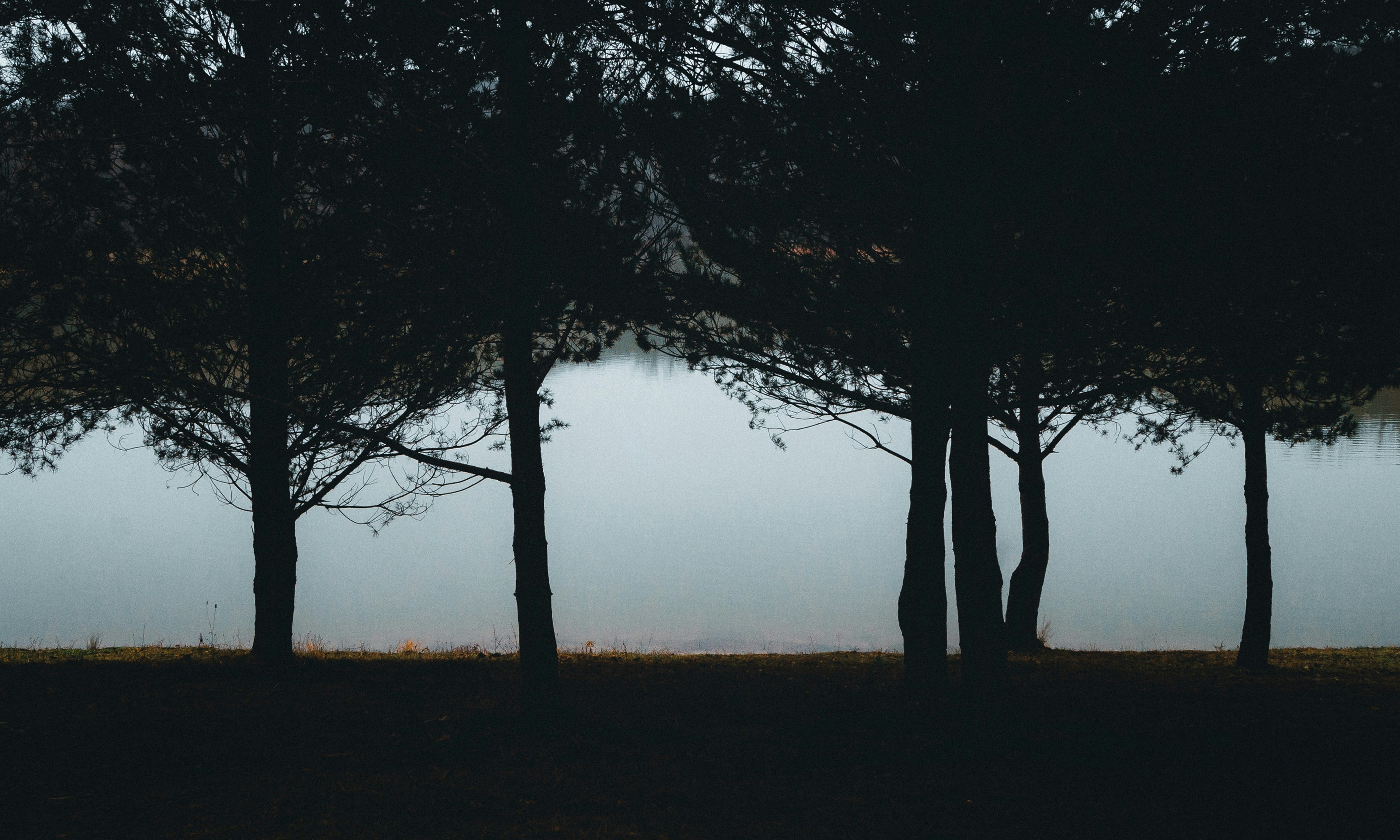 Photo by christinaisabella