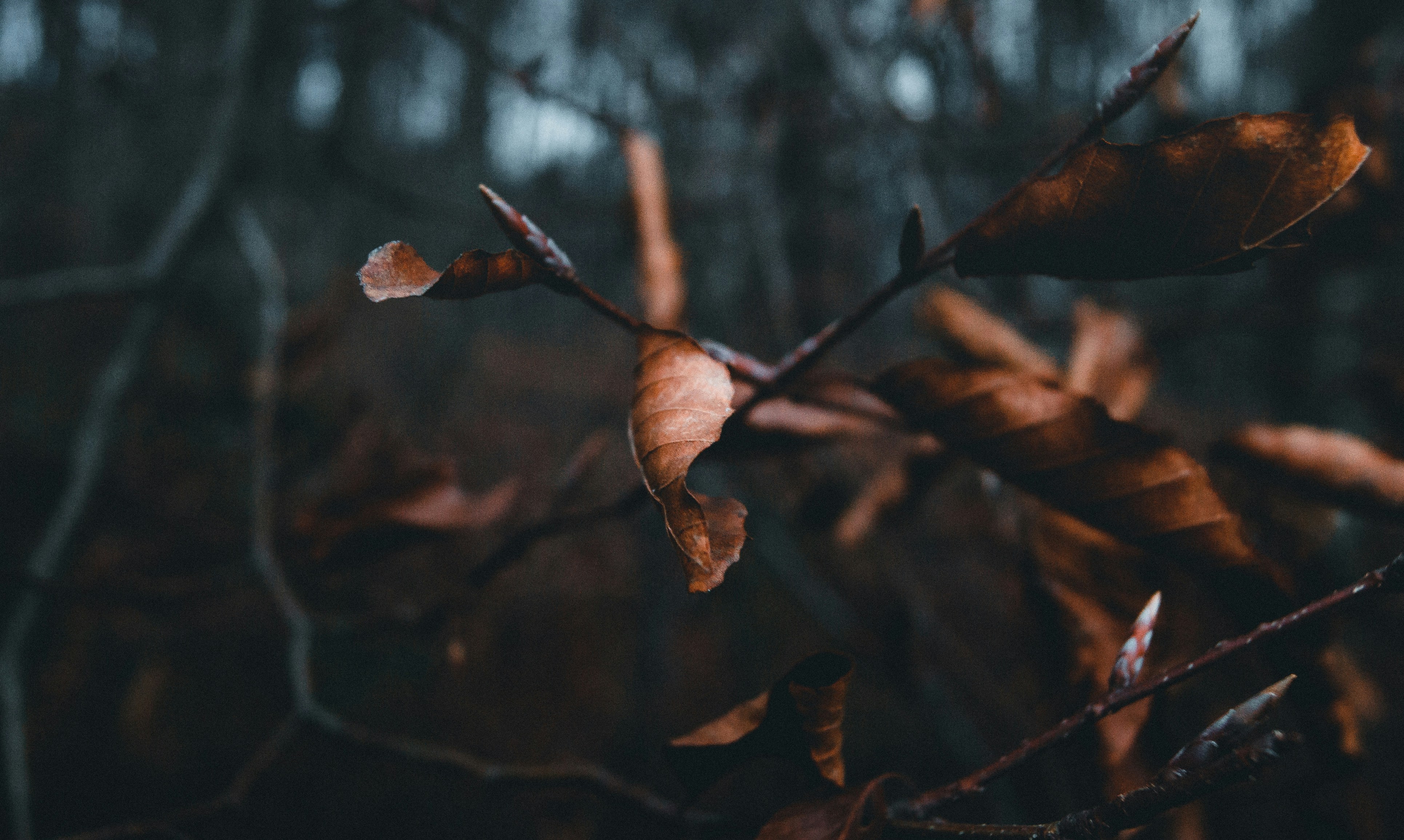 Photo by christinaisabella