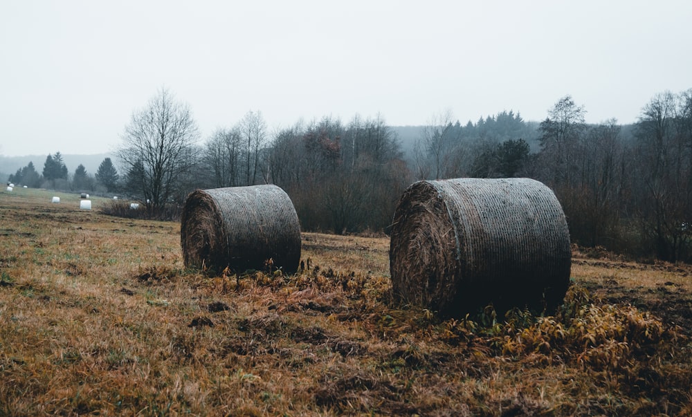 brown rolled hays on brown grass field during daytime