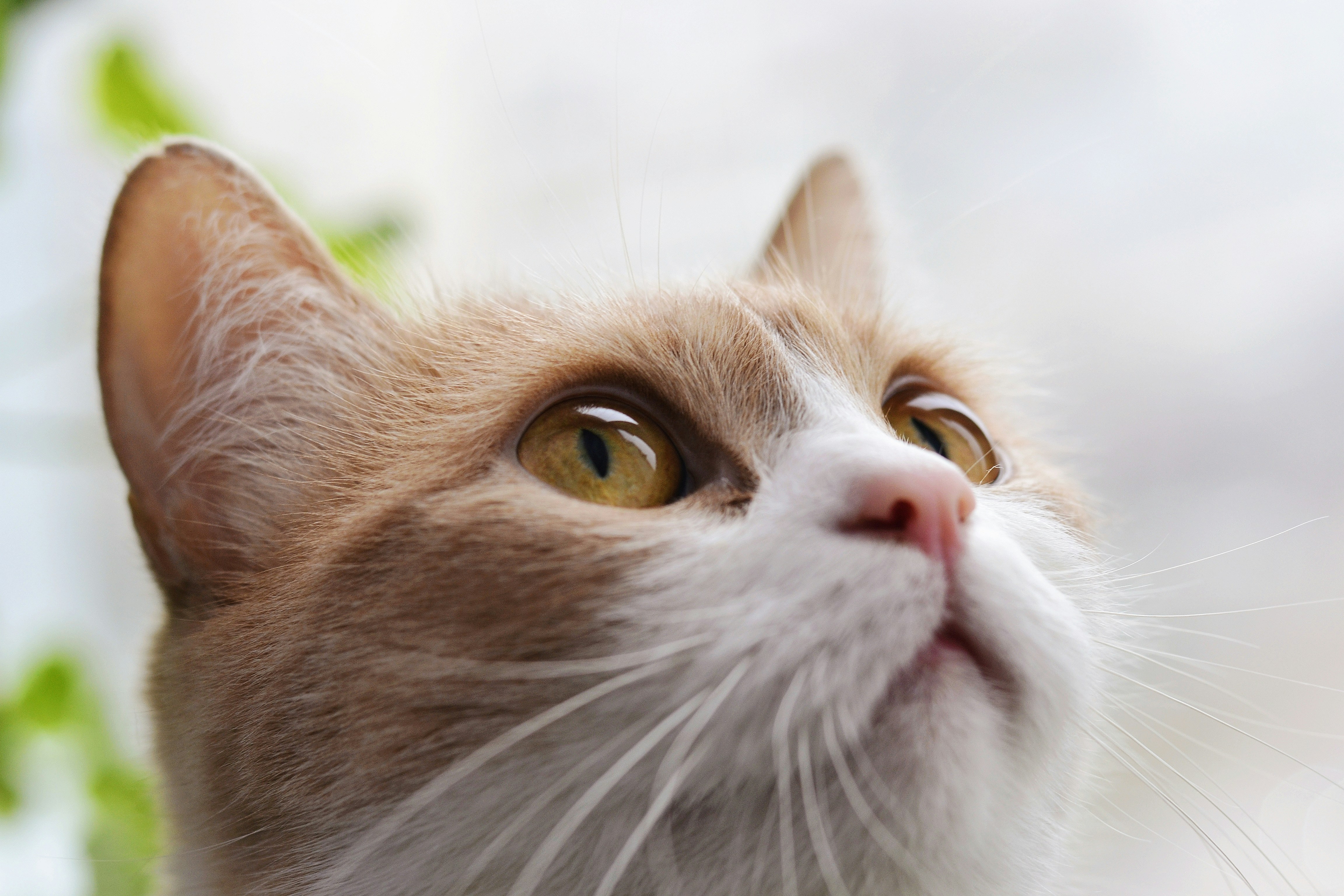 Photo by anastasiiad