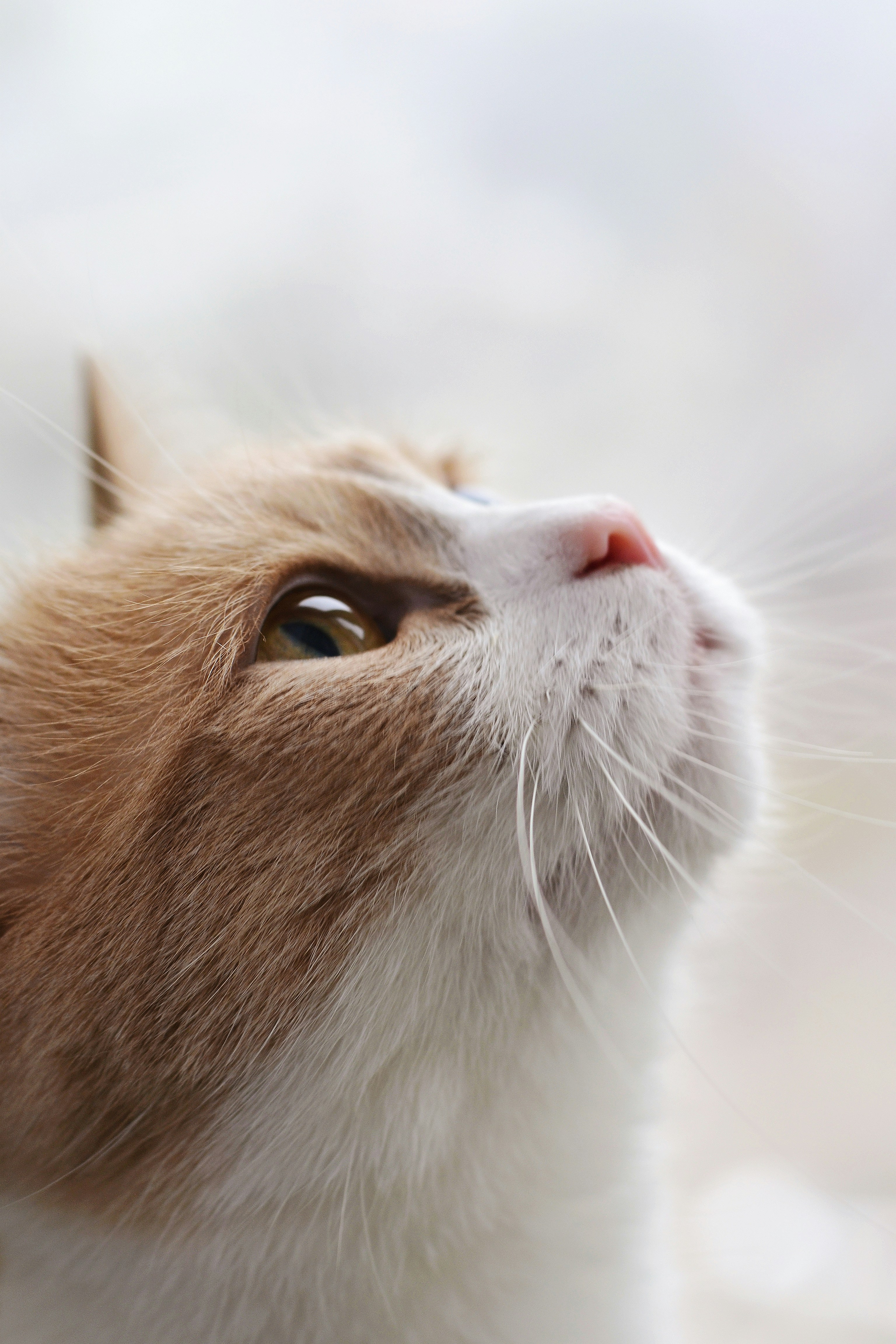 Photo by anastasiiad