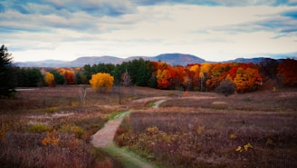 A scenic mountain trail winding through colorful autumn foliage.