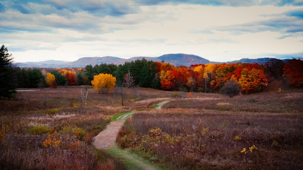 A scenic trail winding through colorful autumn foliage with mountain peaks beyond.
