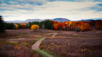 Mountain trail in autumn foliage in the USA