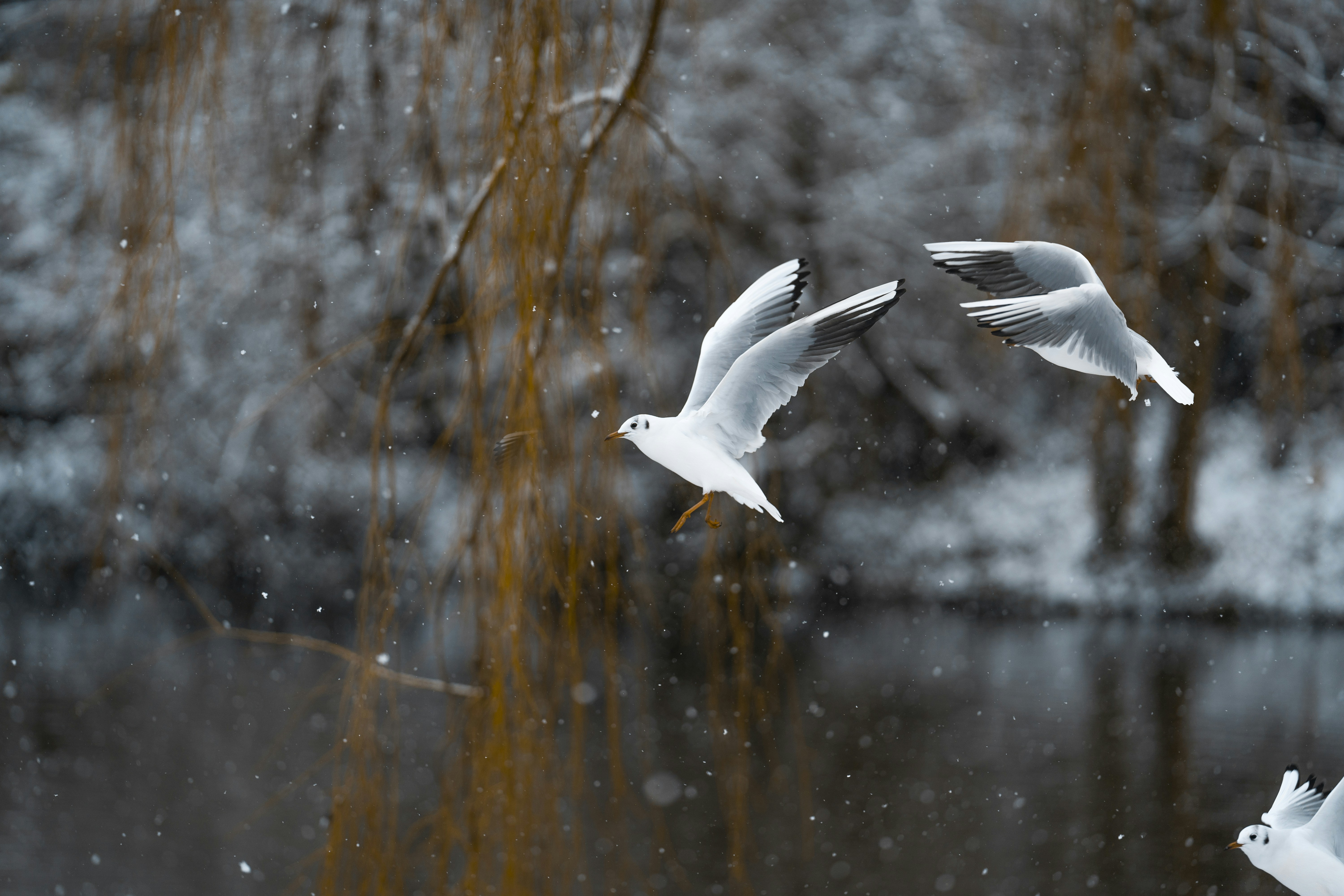 Photo by omarvellous14