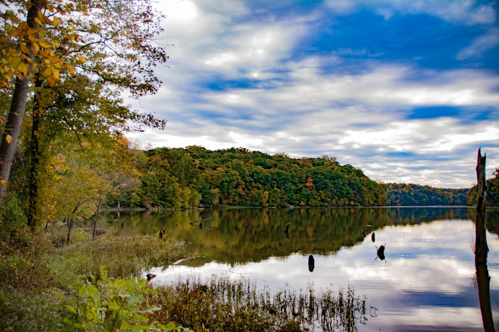 green trees beside lake under cloudy sky during daytime