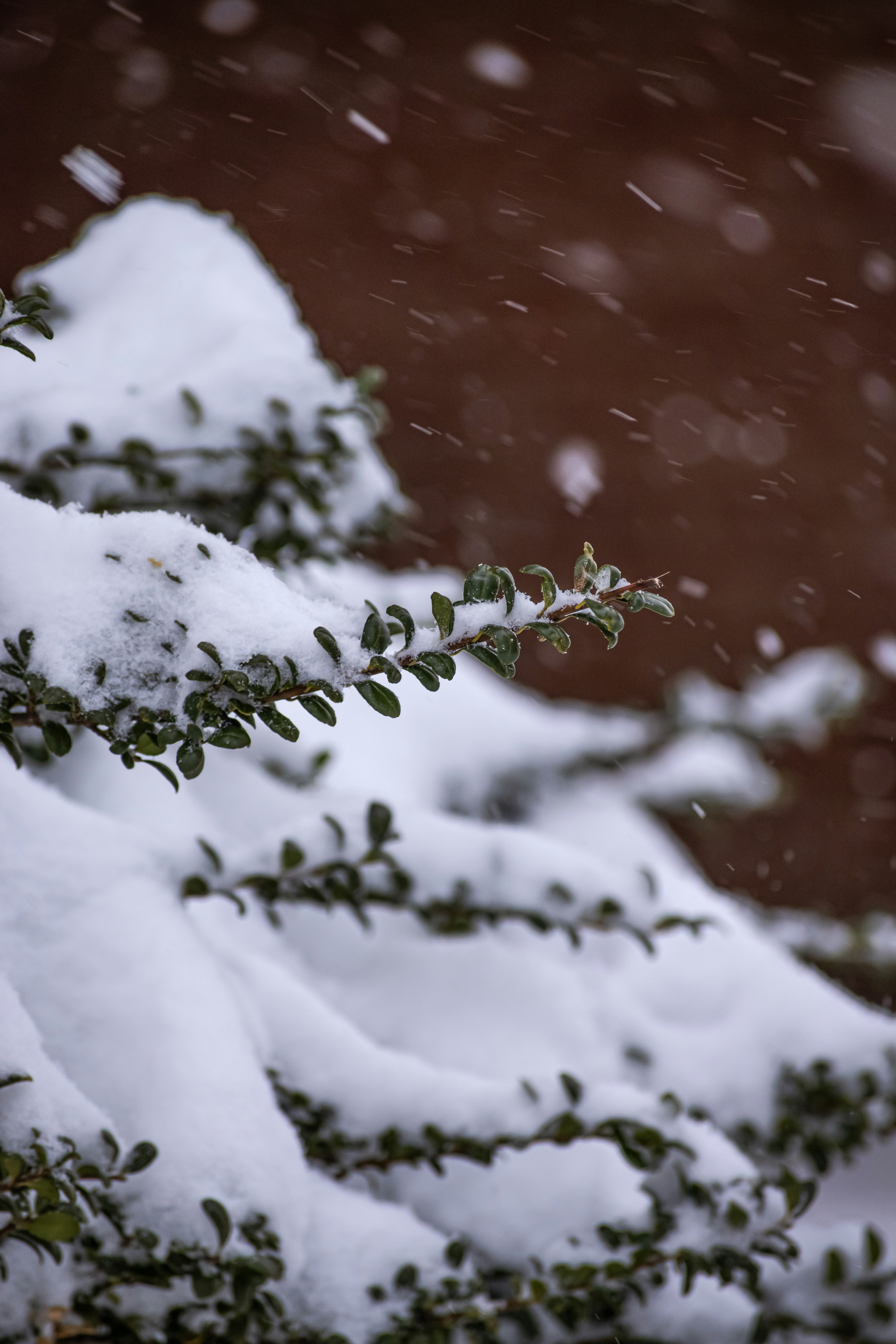 Photo by newyork_creator