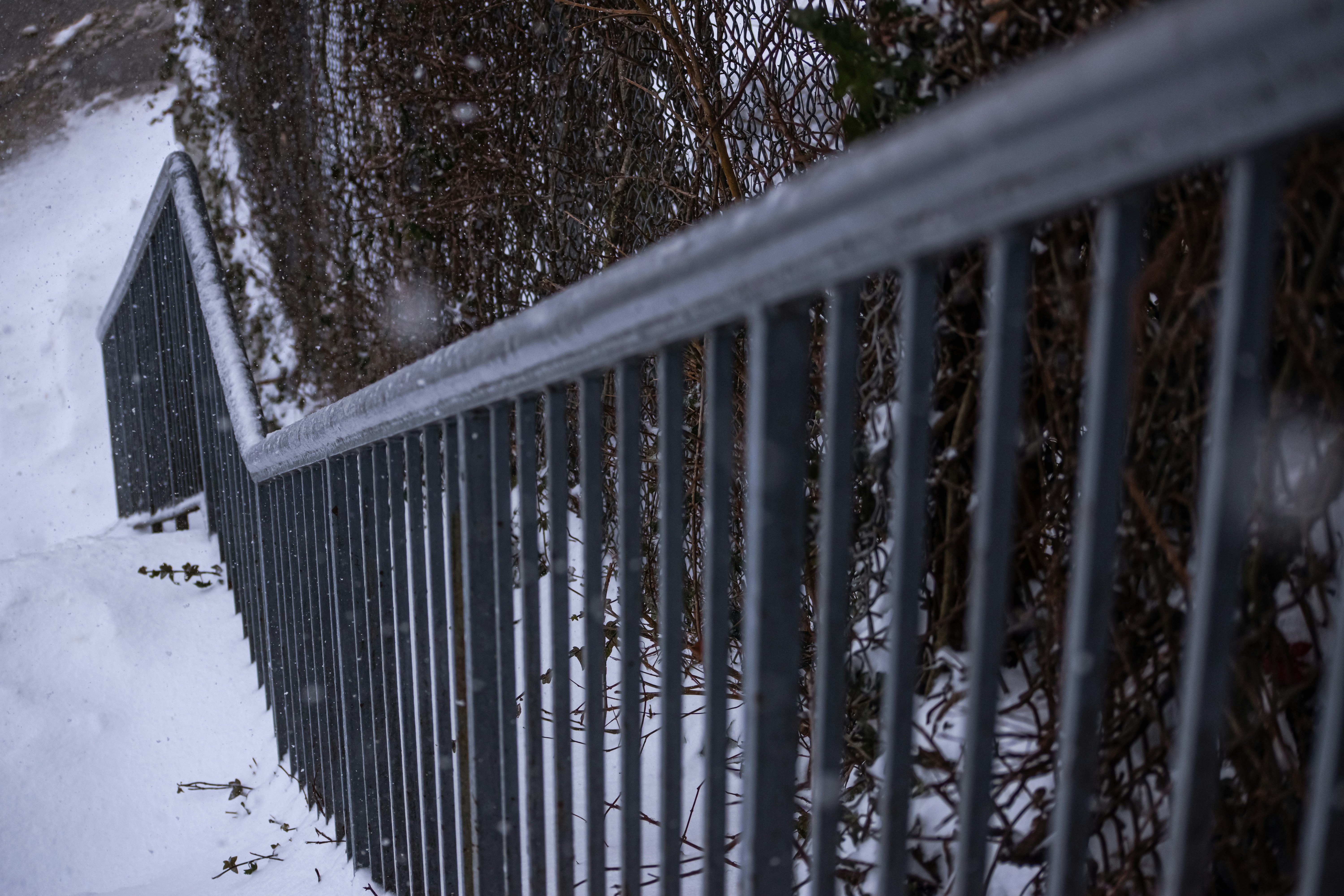 Seasonal impact on a privacy fence with snow