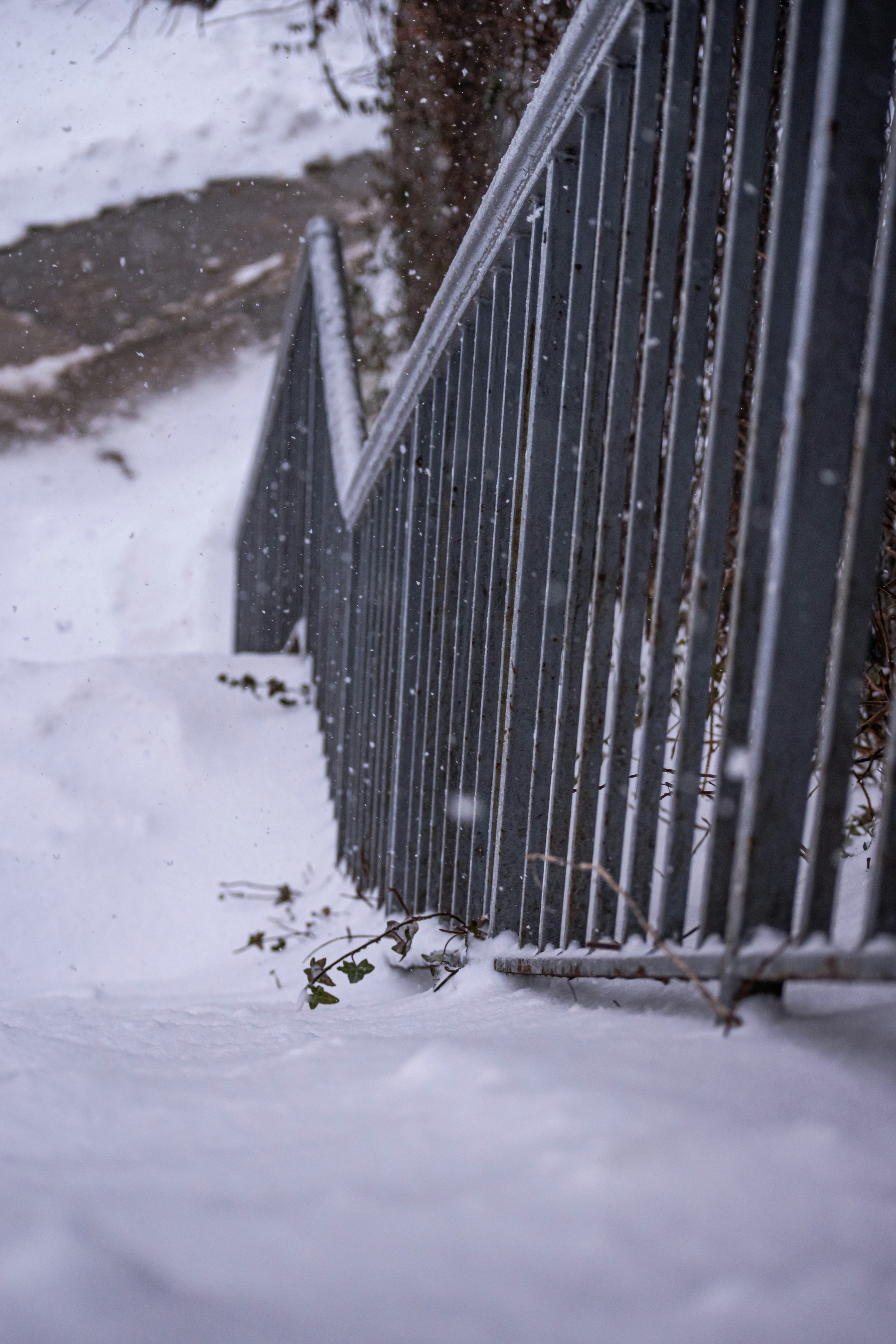 Feb 1st 2021 Snow in Brooklyn, NY