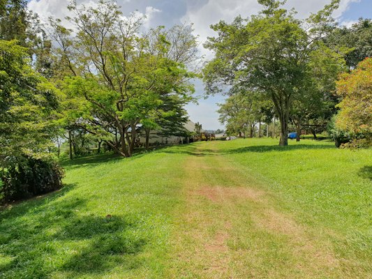 A grassy avenue under the trees — Jinja, Uganda