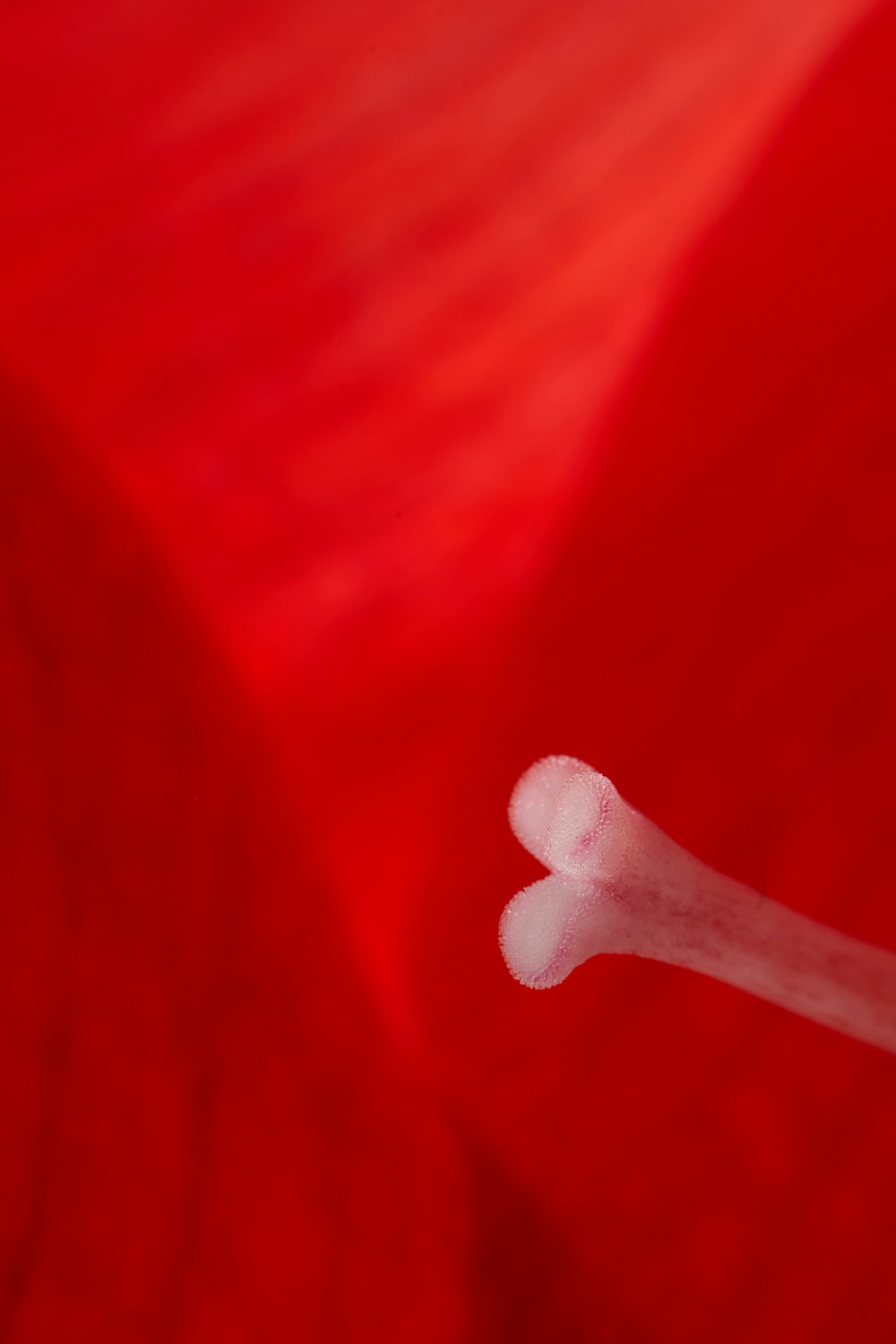 red textile with white plastic tool