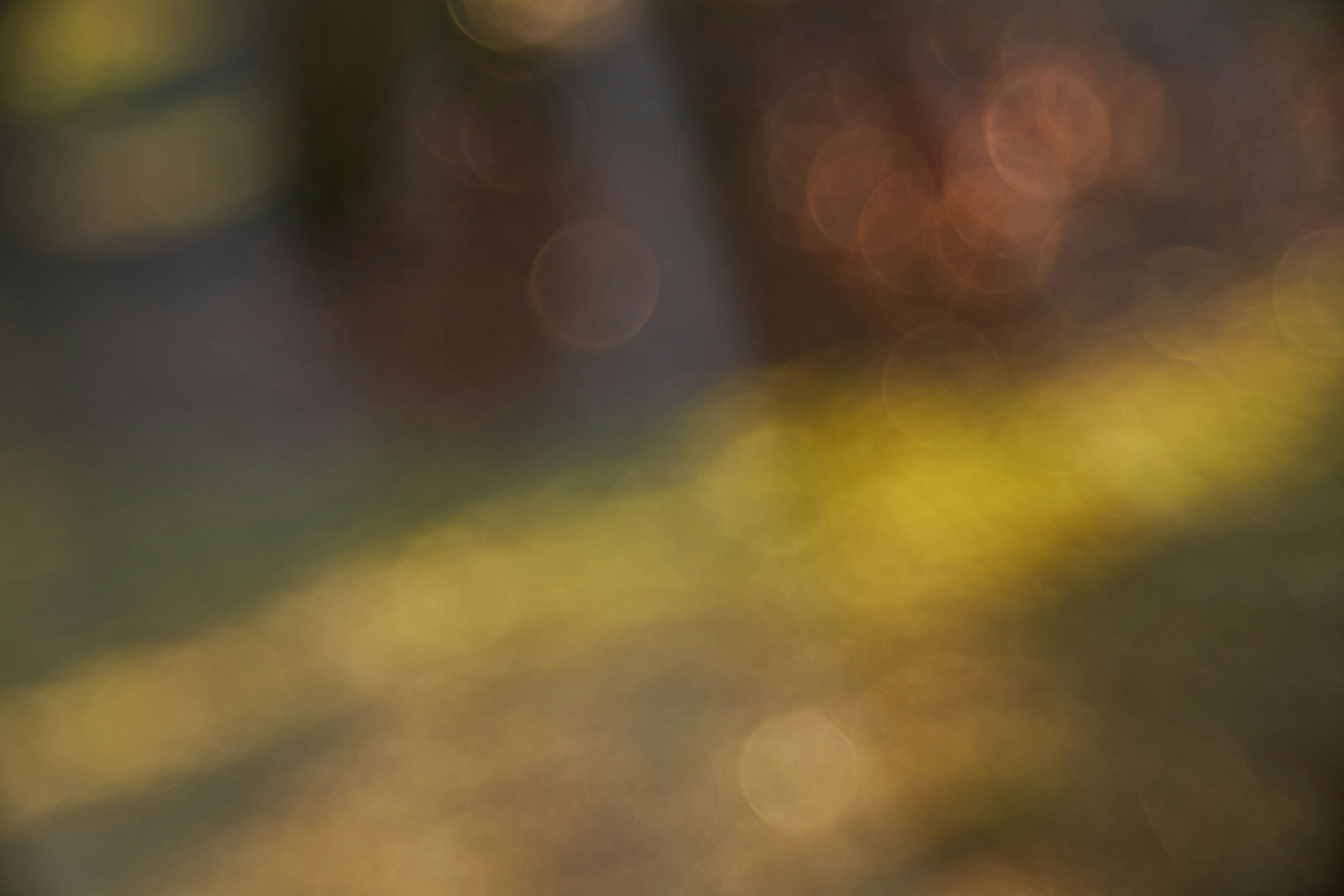 Photo by wolfgang_hasselmann