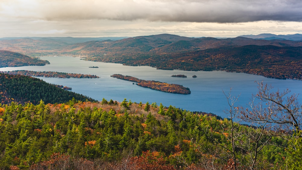 green trees near body of water during daytime