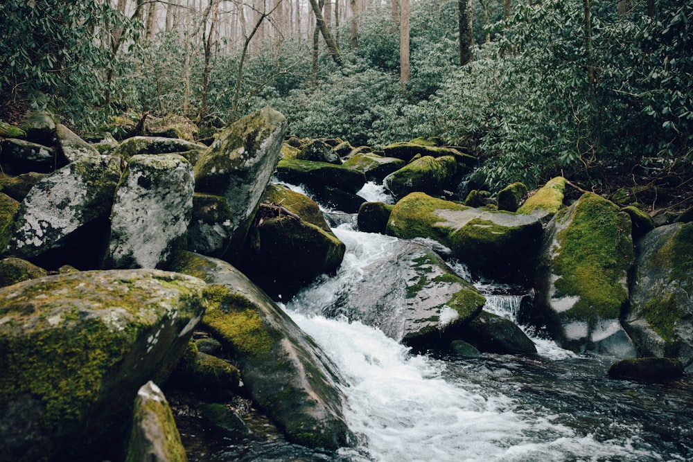 gray rocks on river during daytime