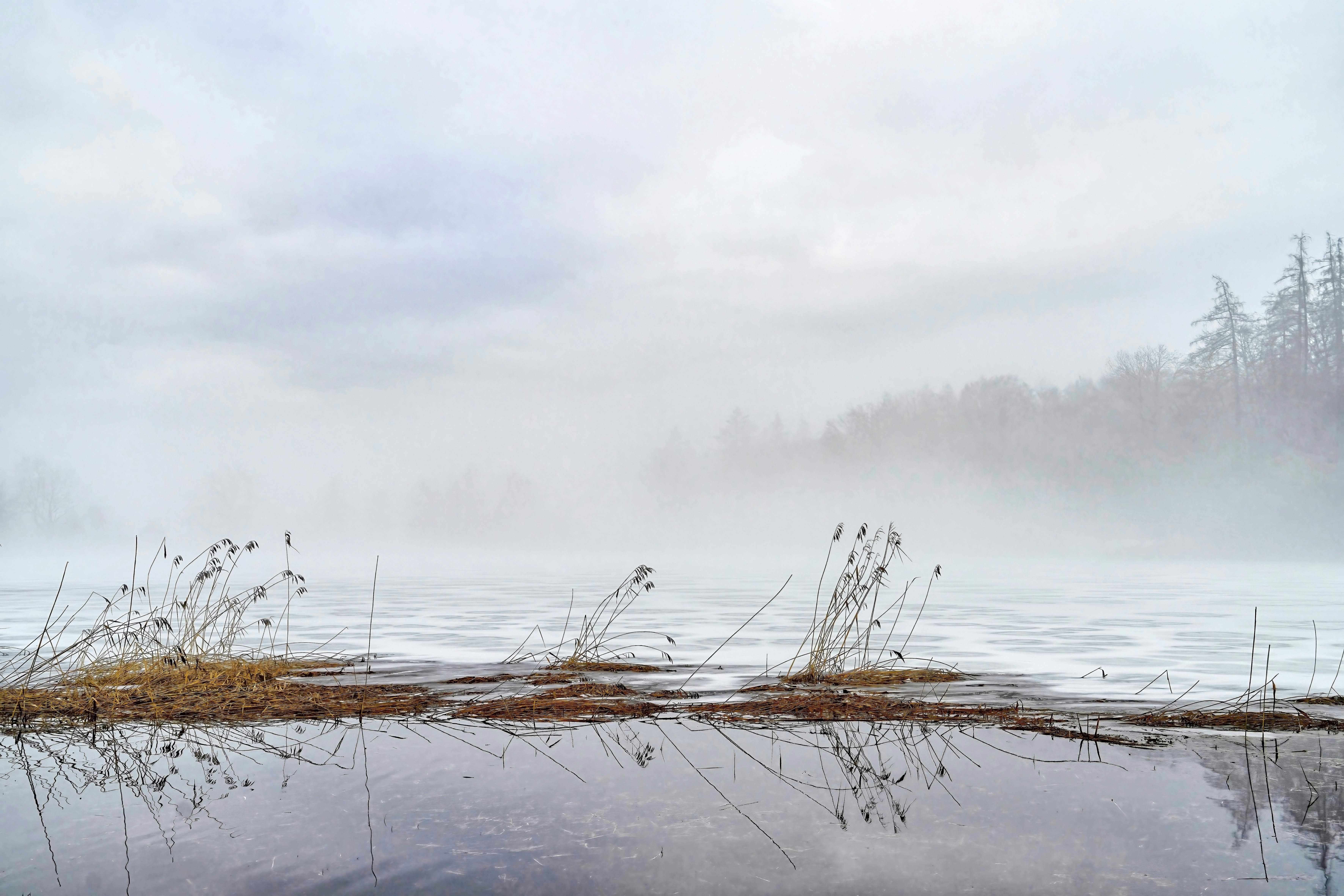 Photo by rgaleriacom