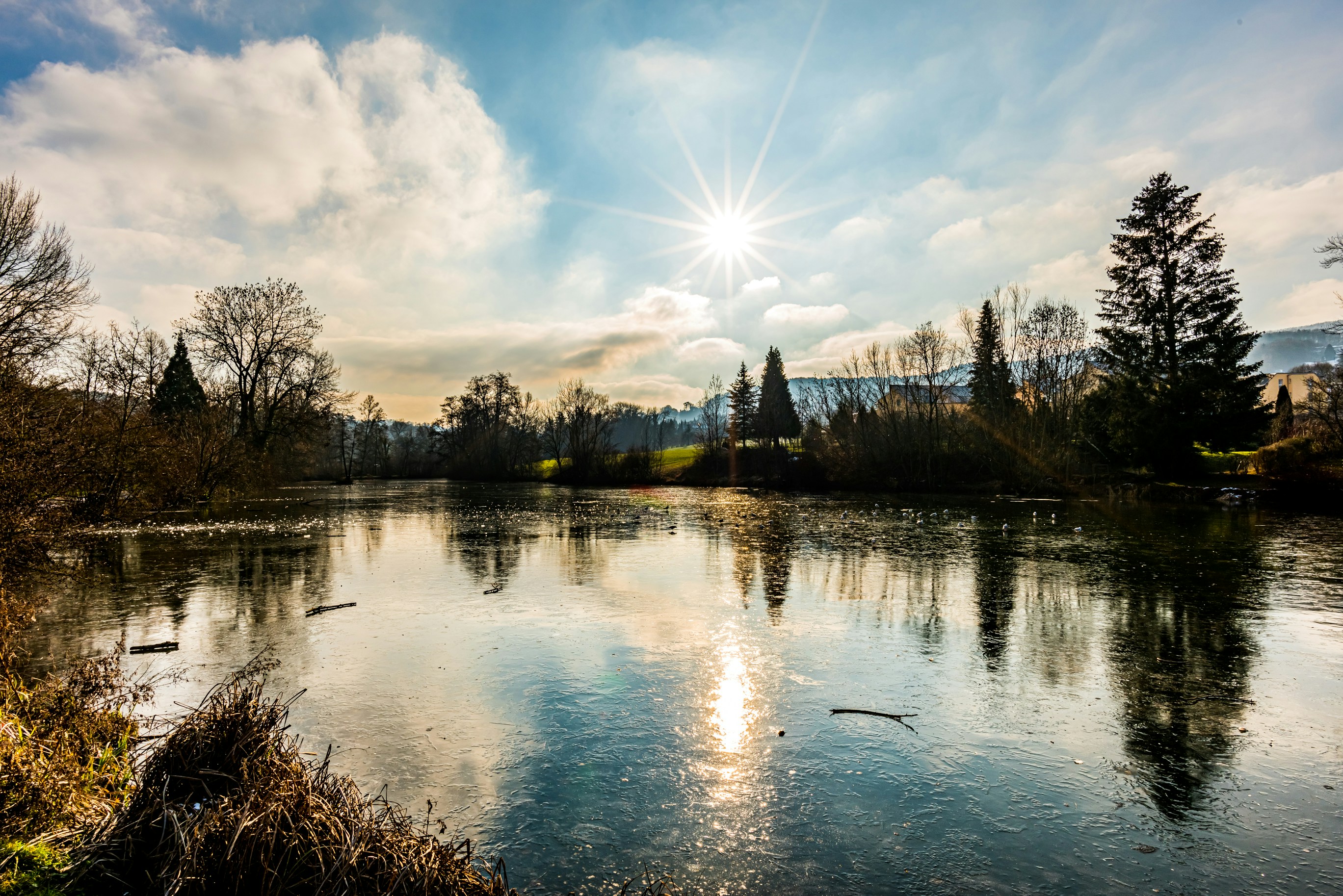 Photo by rogertomaschett