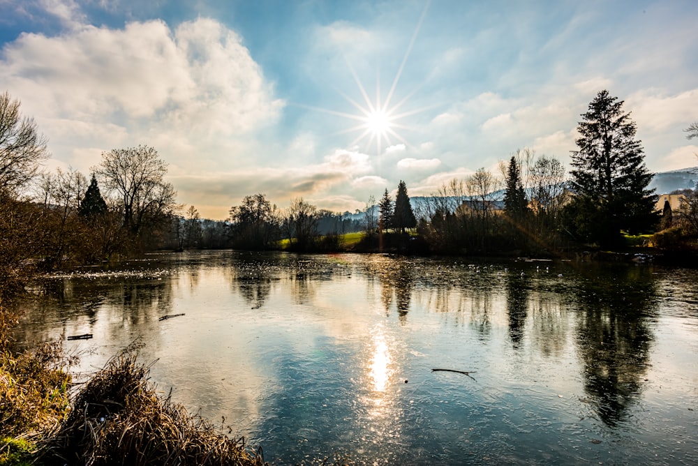 body of water near trees during daytime