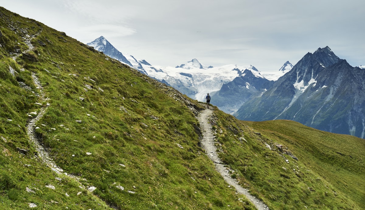 A mountain landscape with green grass and snow-capped peaks in the distance