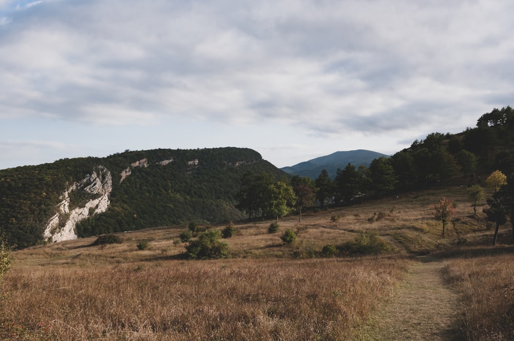 green grass field near mountain under cloudy sky during daytime