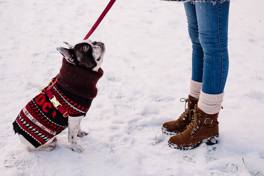 person in blue denim jeans and brown boots standing on snow covered ground