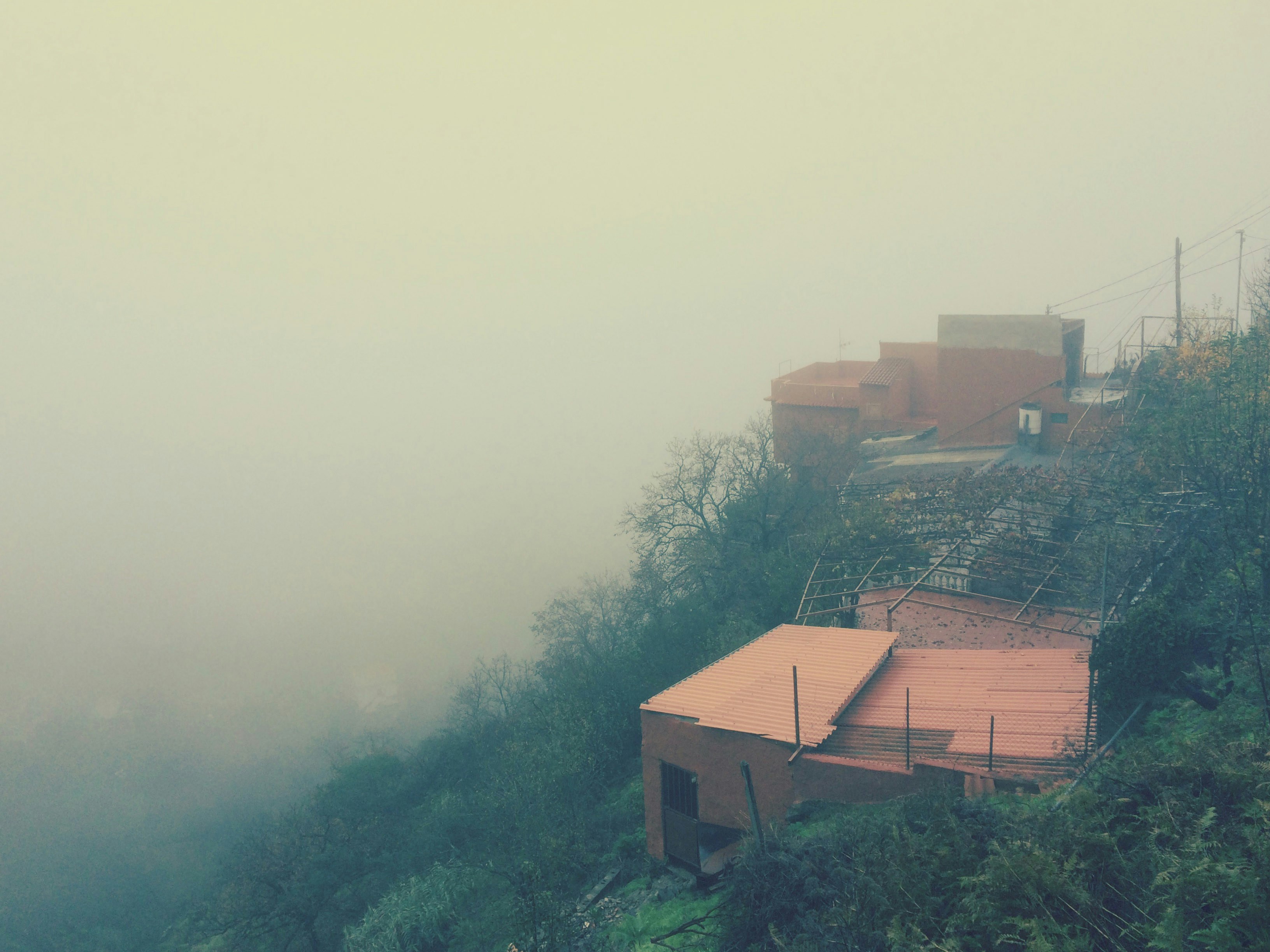 MktCoin header image