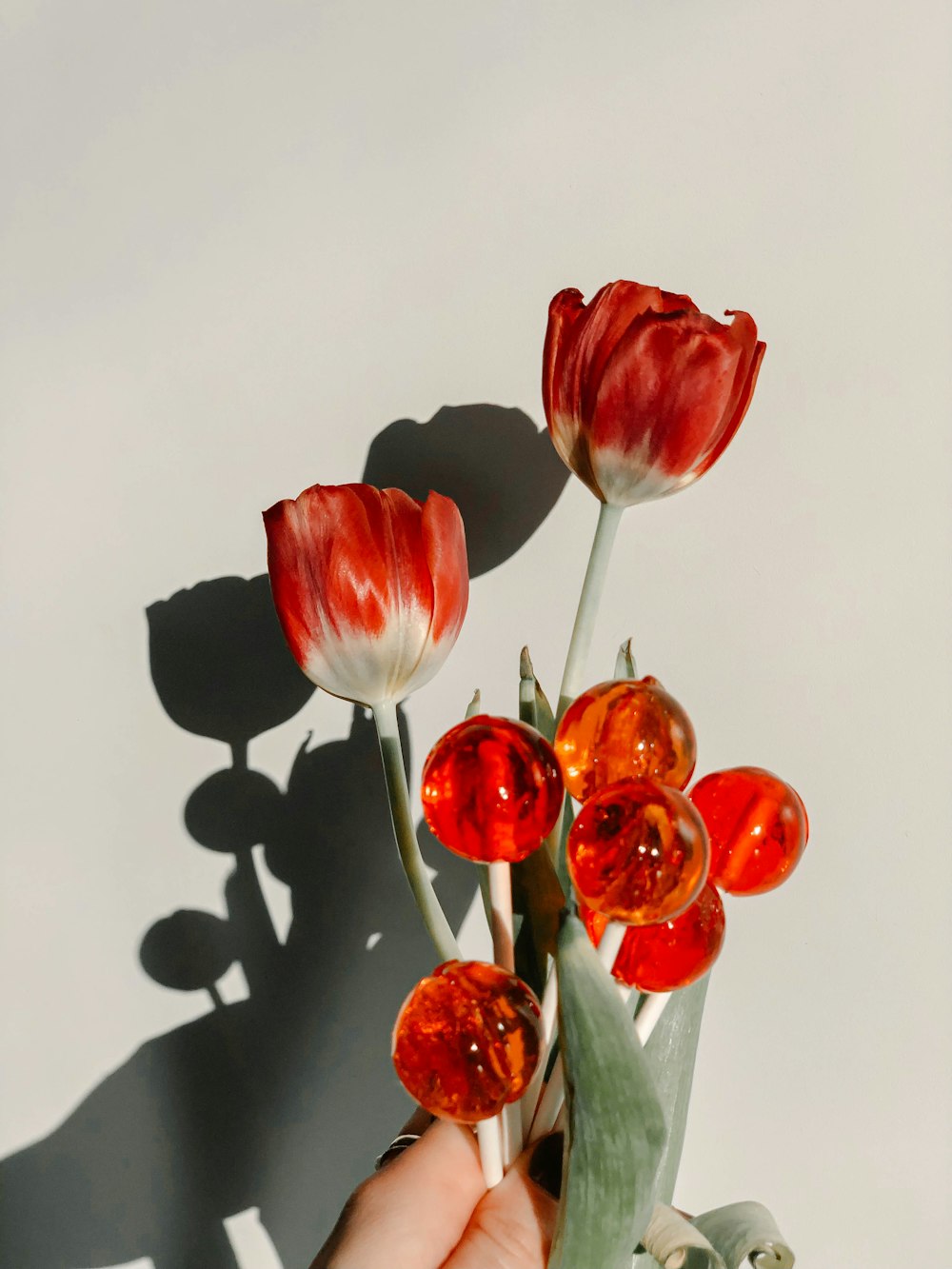 red tulips in clear glass vase