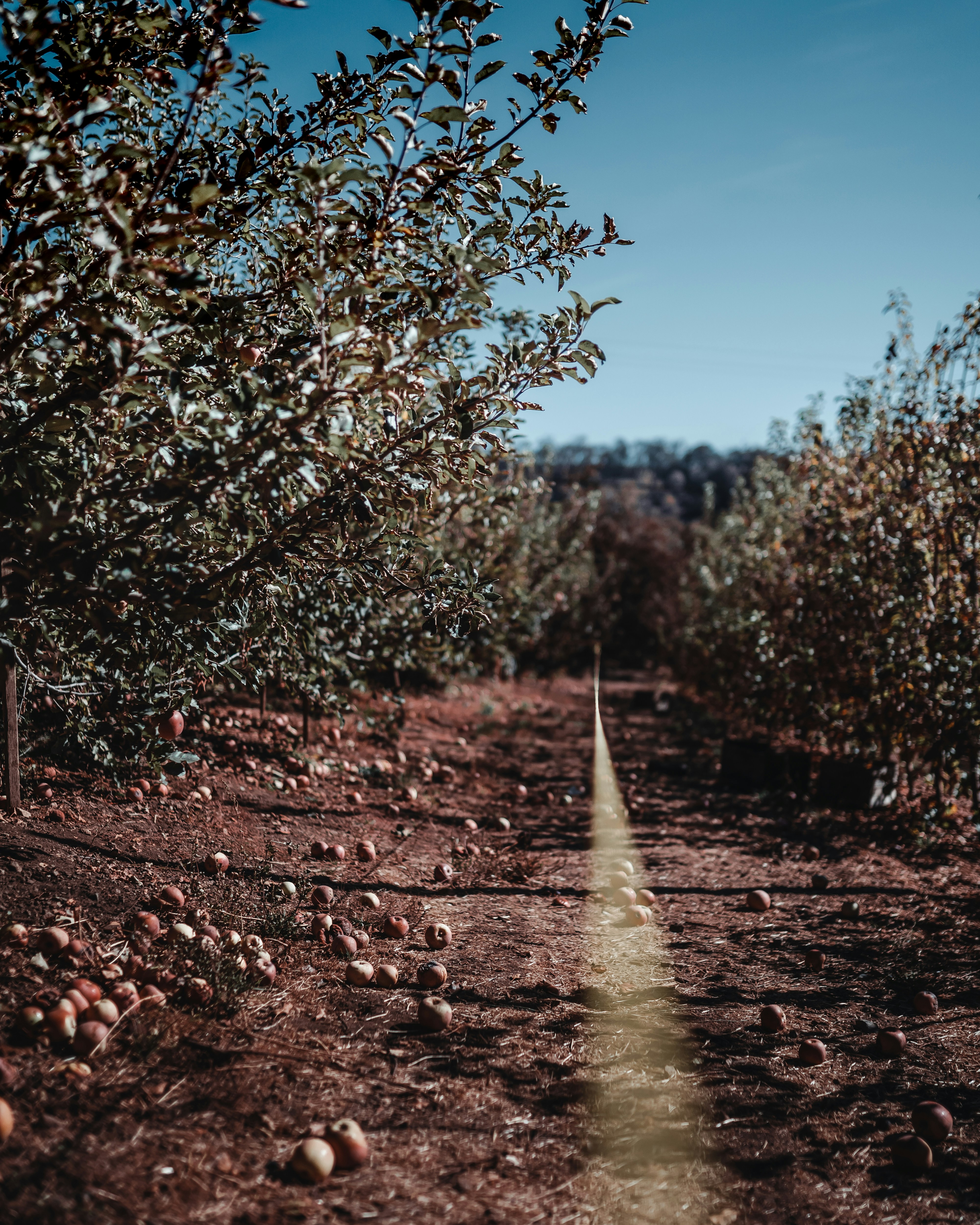 Photo by heyitsjamaal