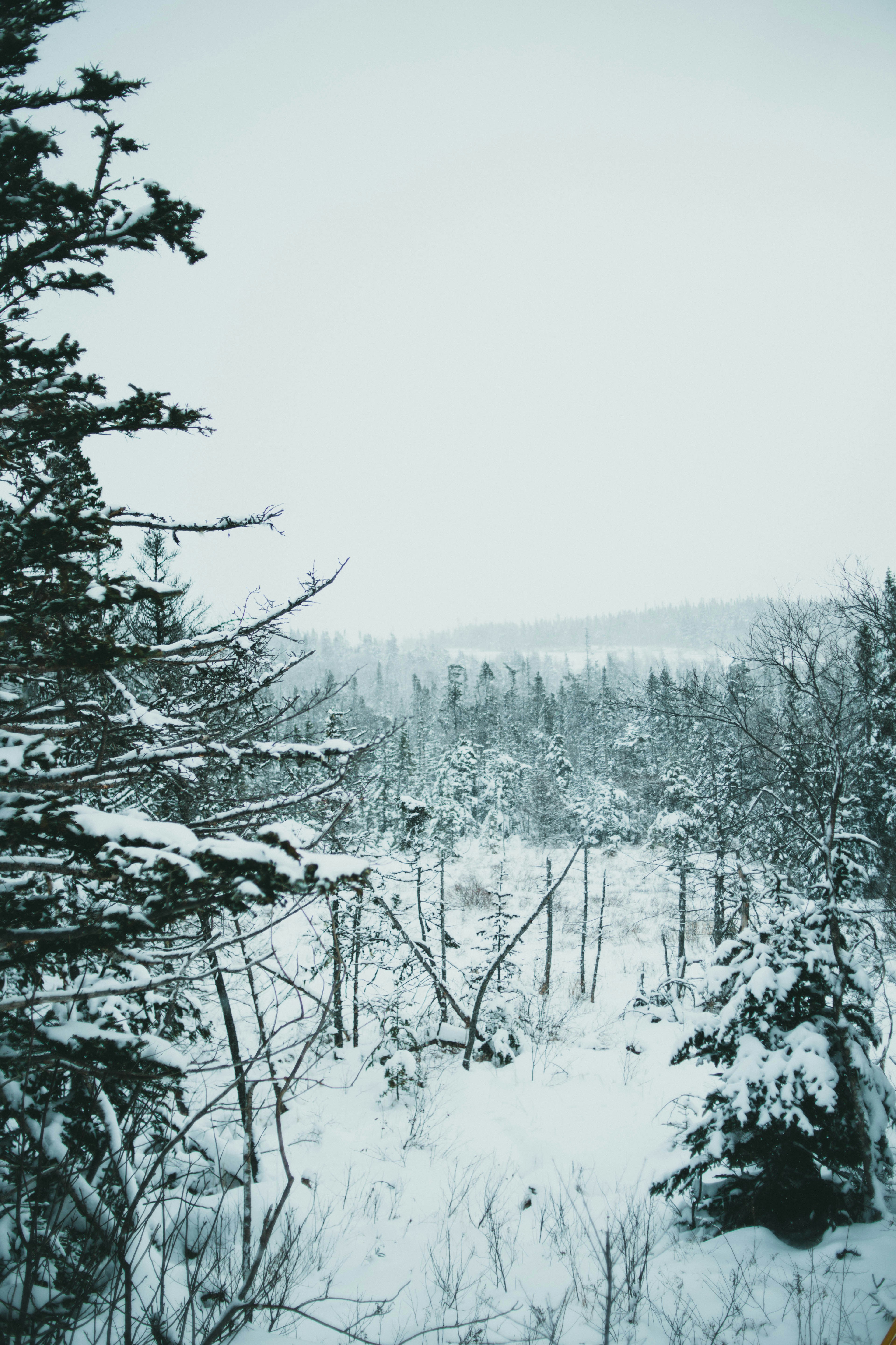 Photo by theshuttervision