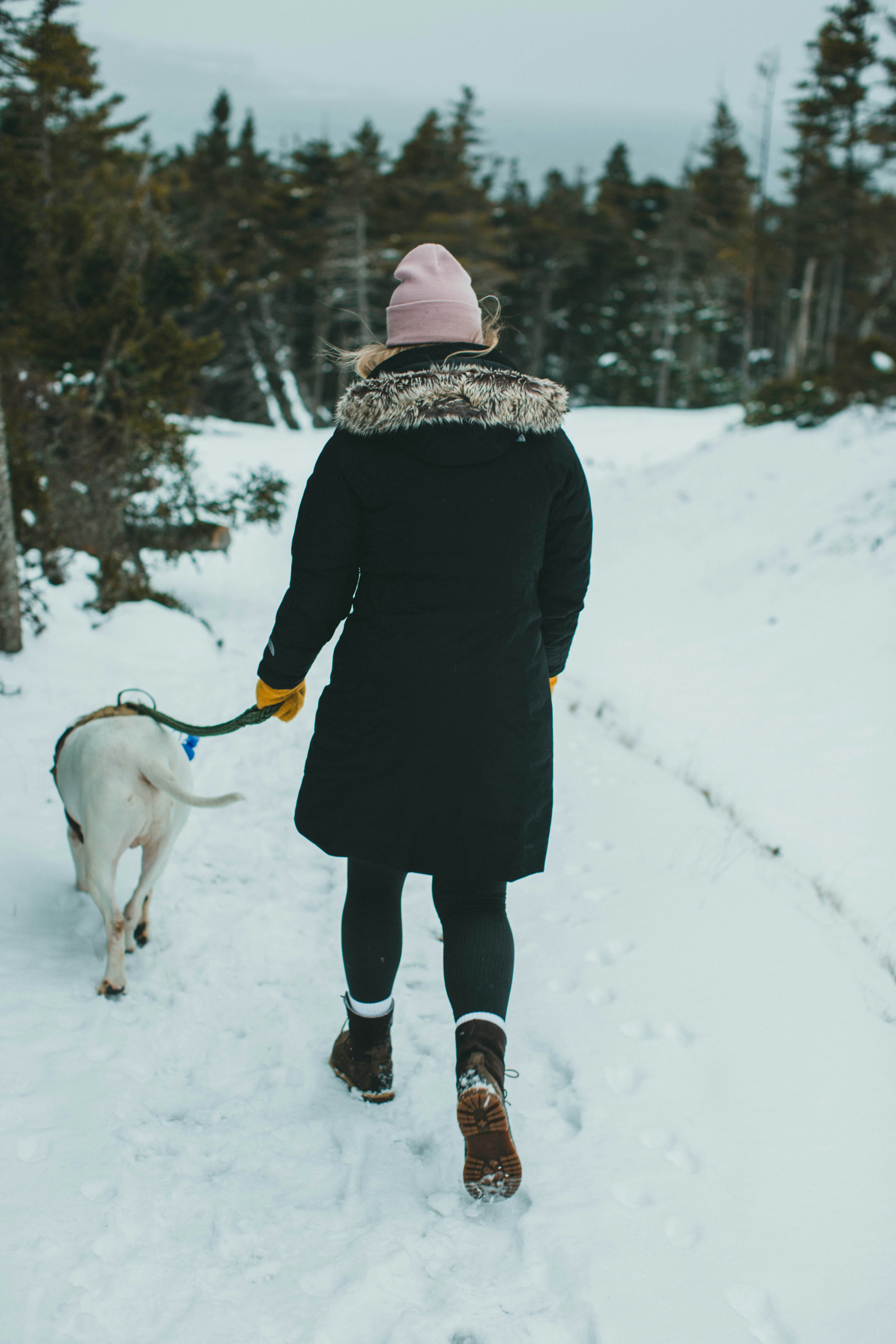 woman in black coat and white knit cap walking with white dog on snow covered ground