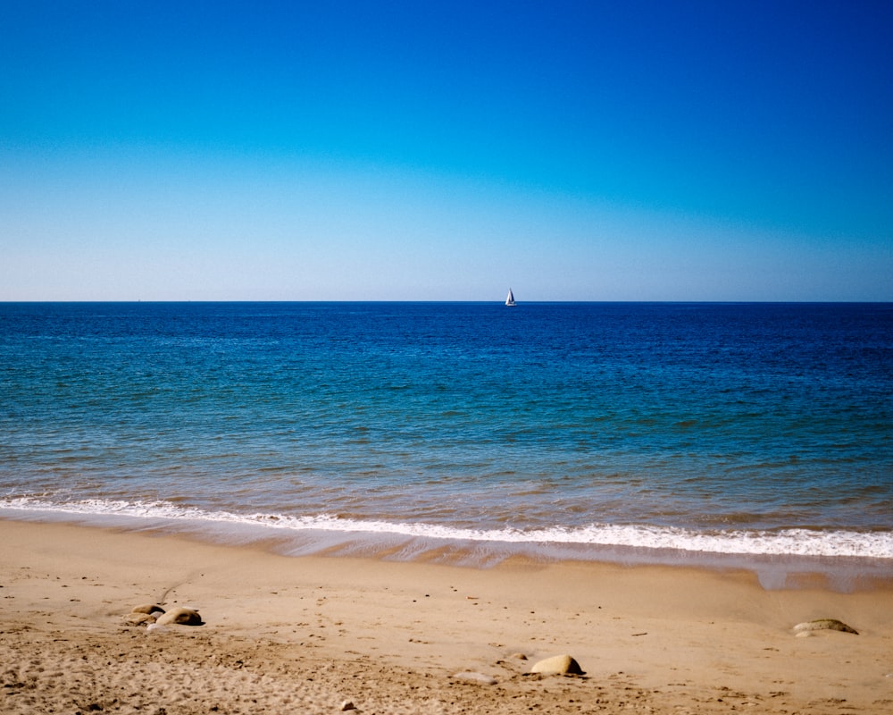 white and black sailboat on sea during daytime