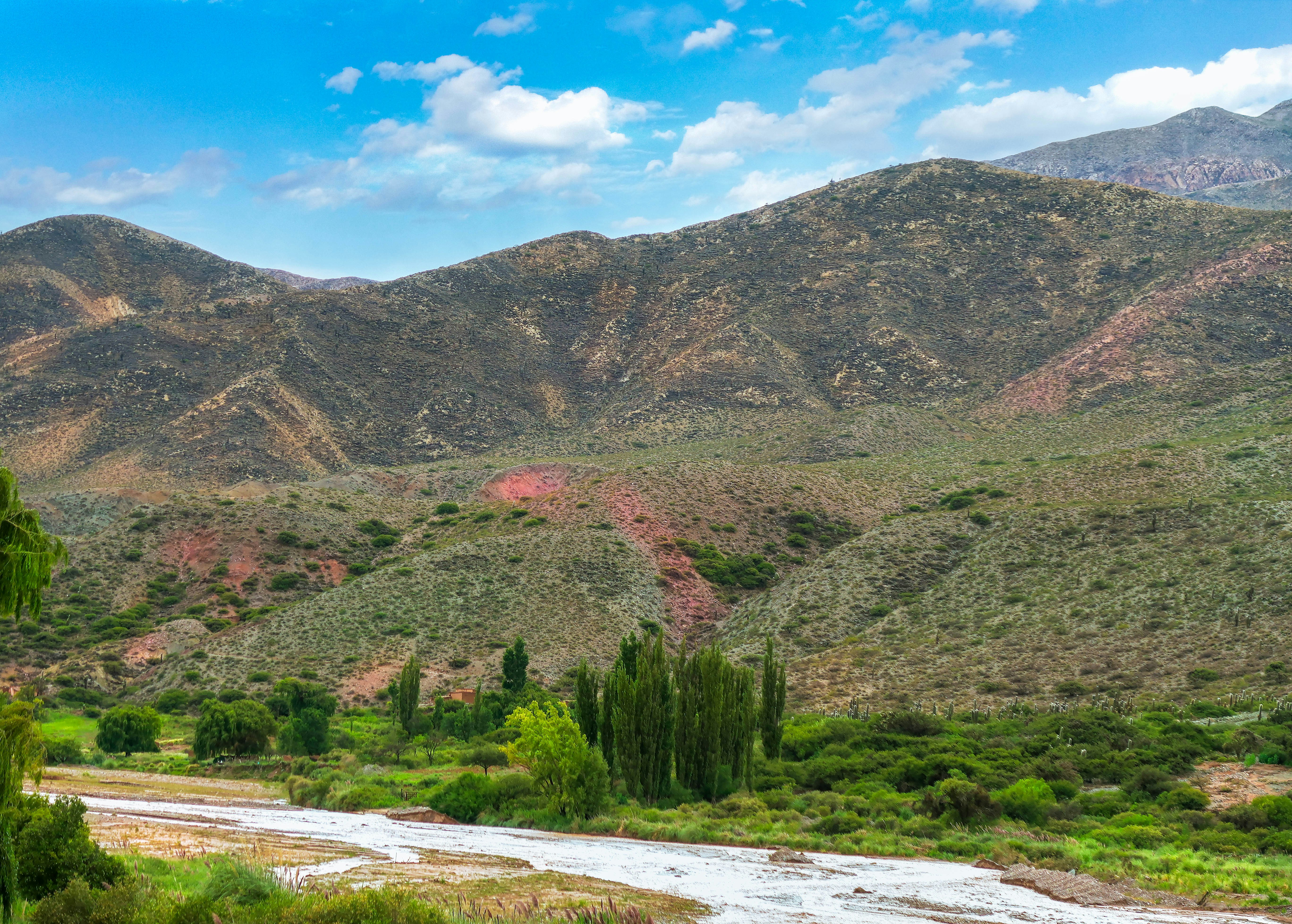 Photo by argentinanatural