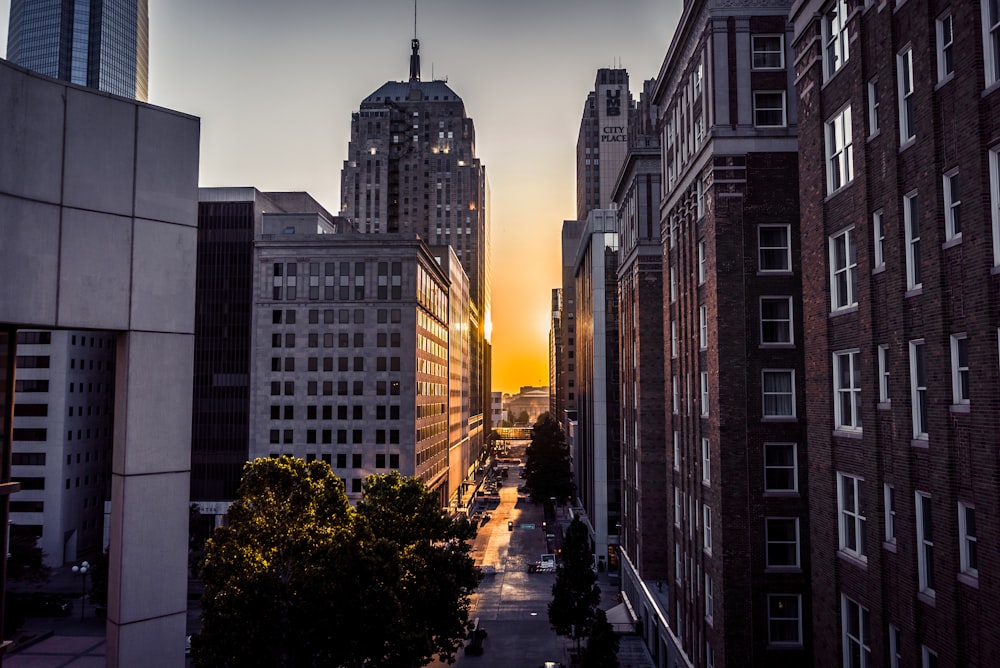 people walking on pedestrian lane near high rise buildings during daytime