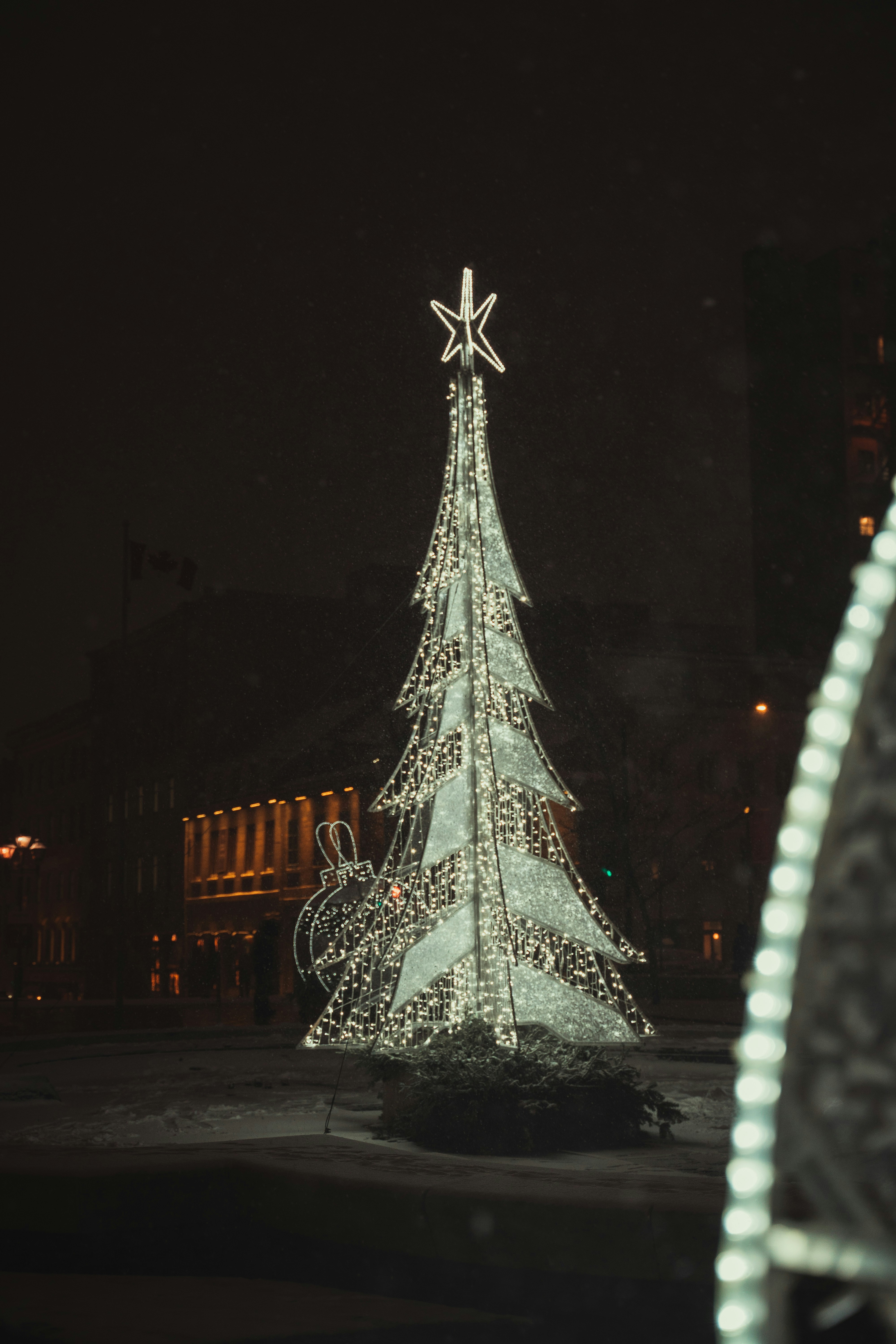 Photo by thomaslrdeau