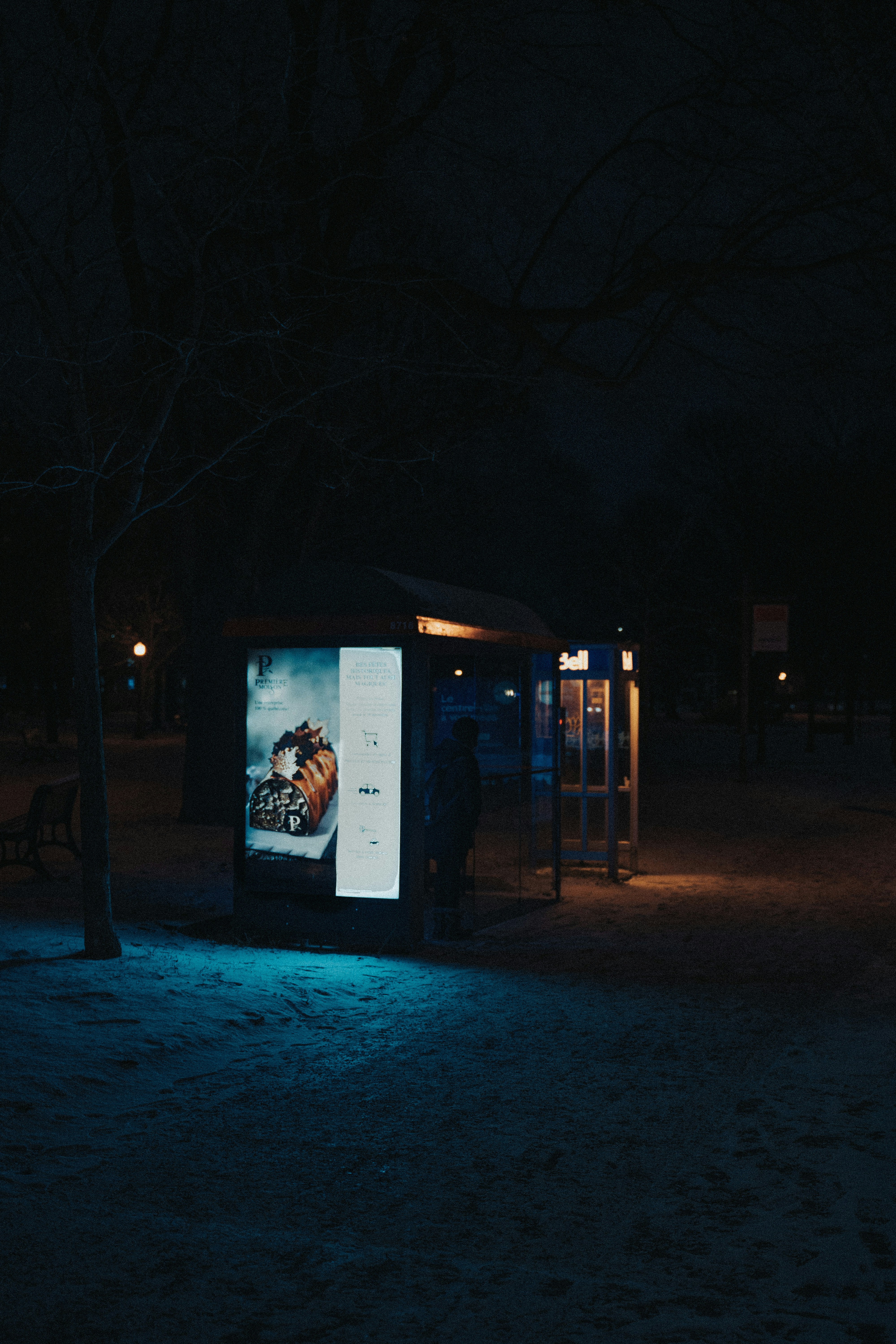 Photo by thomaslrdeau