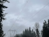 Close-up drone shot of utility lines running through a forested area.