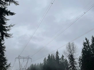 Drone view showcasing lines of high voltage cables running through a forested area.