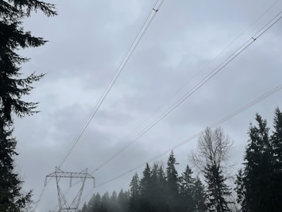 Close-up drone shot of utility lines running through a forested area.