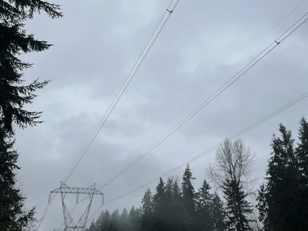 Drone view showcasing lines of high voltage cables running through a forested area.