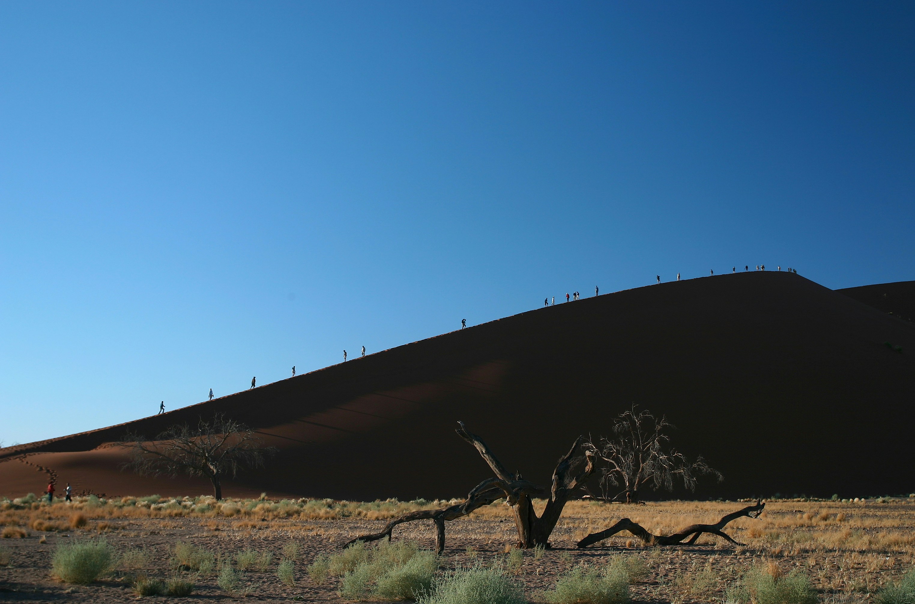 brown wooden fence on brown field under blue sky during daytime