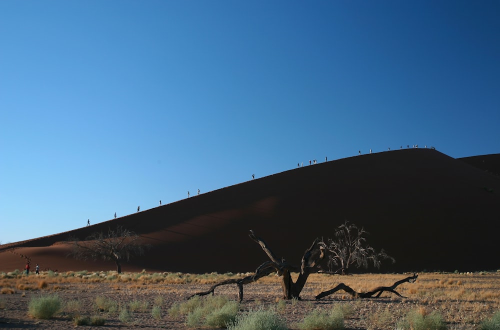 brown wooden fence on brown field under blue sky during daytime