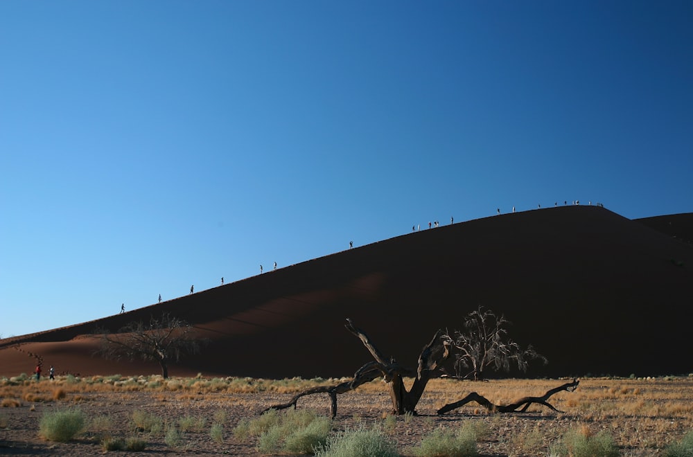 Clôture en bois brun sur un champ brun sous un ciel bleu pendant la journée