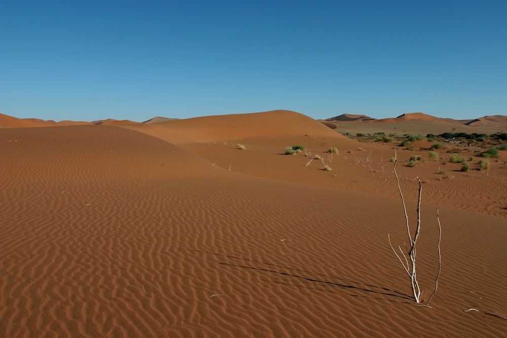 brown sand under blue sky during daytime