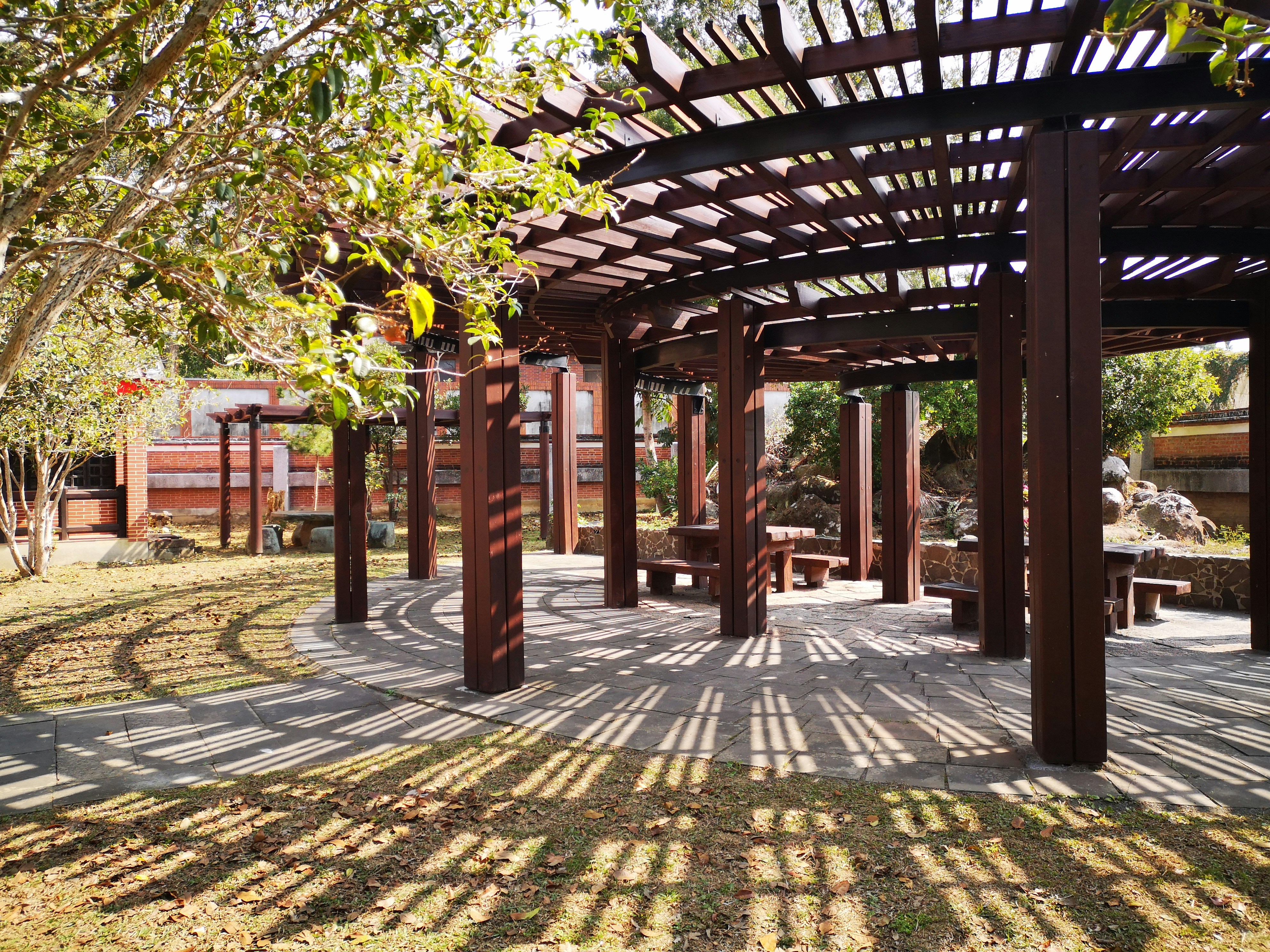 התקנת פרגולות עץ בהתאמה אישית בכל הארץ | Holywood