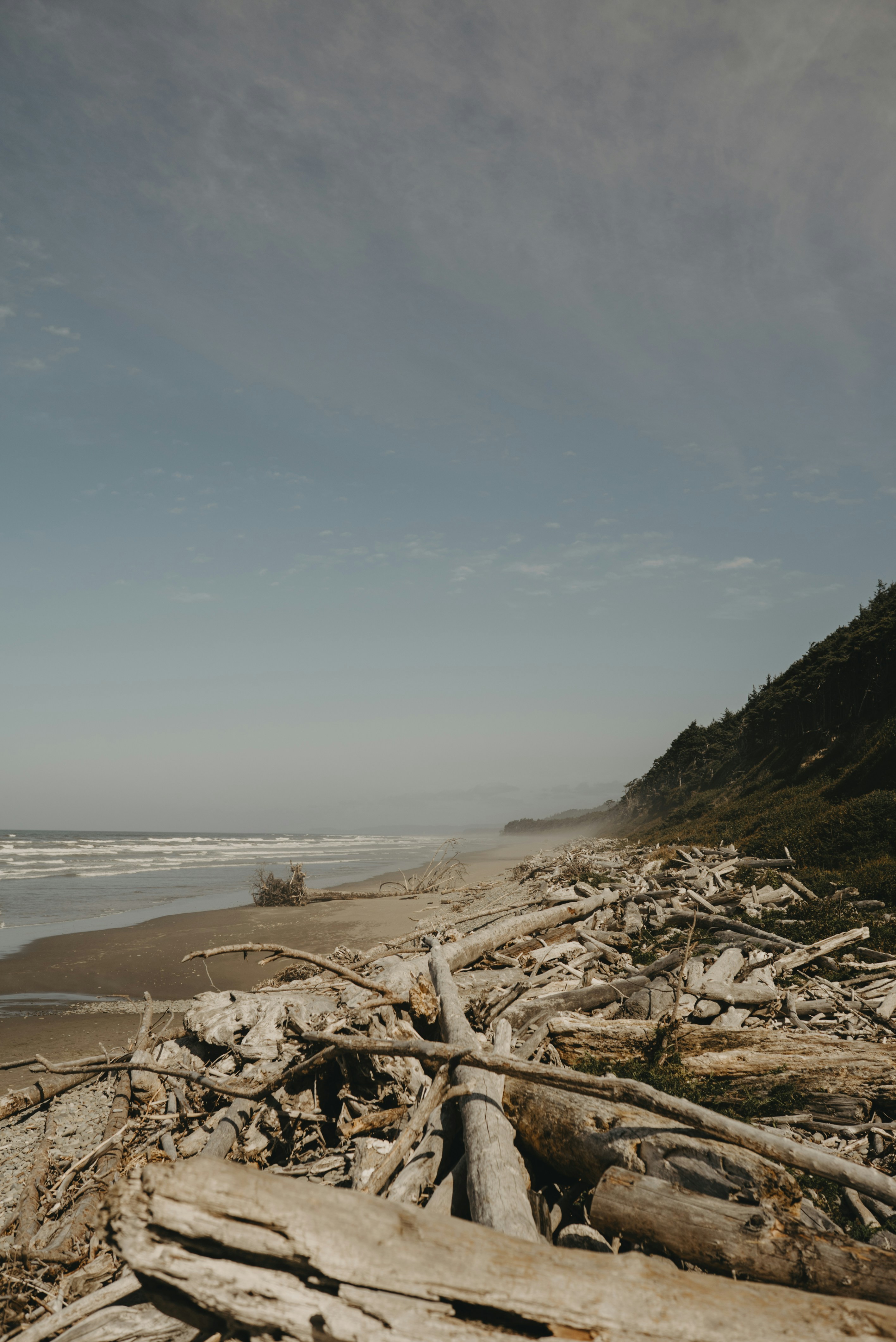 Photo by jasmincausor