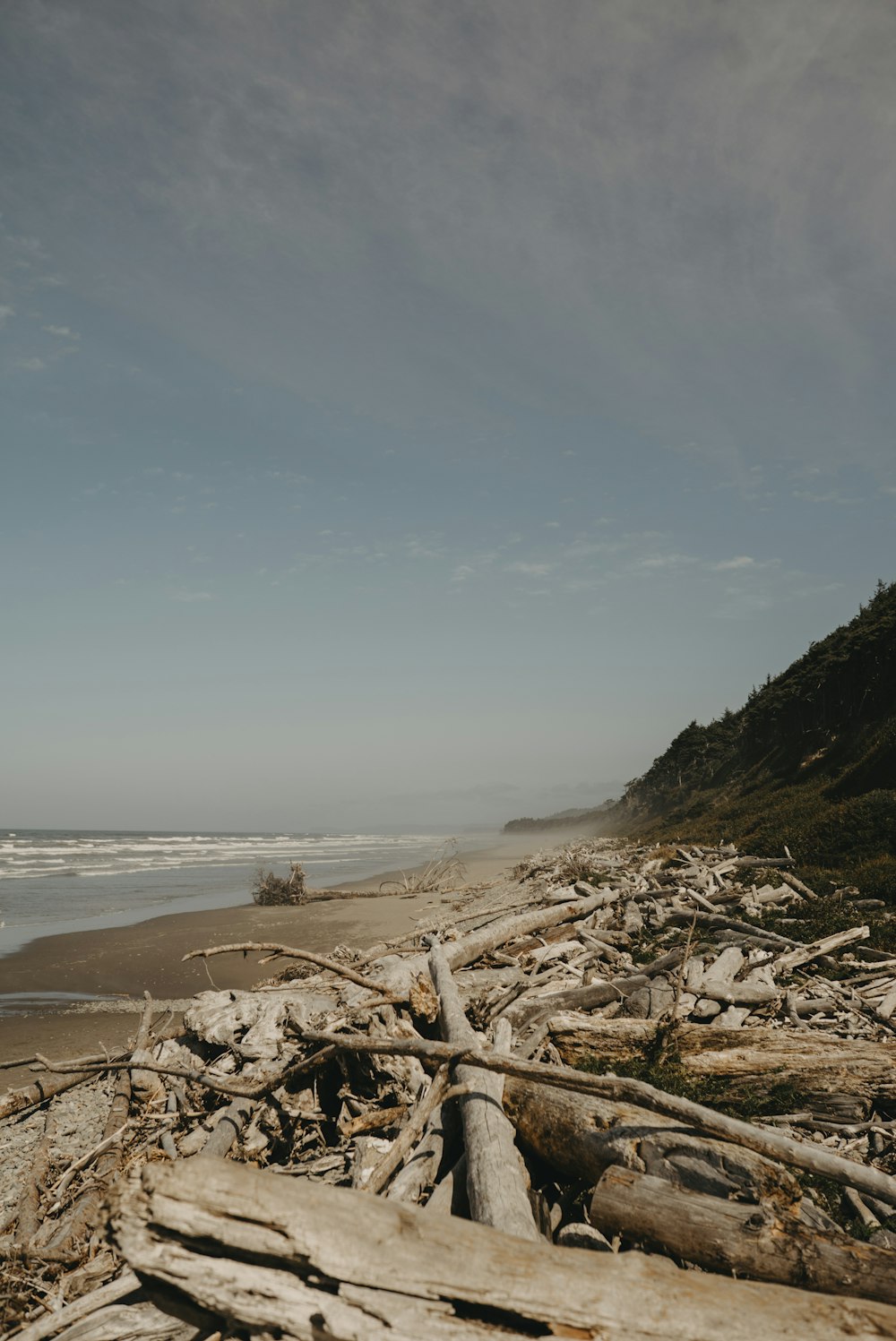 brown rocky shore near body of water during daytime