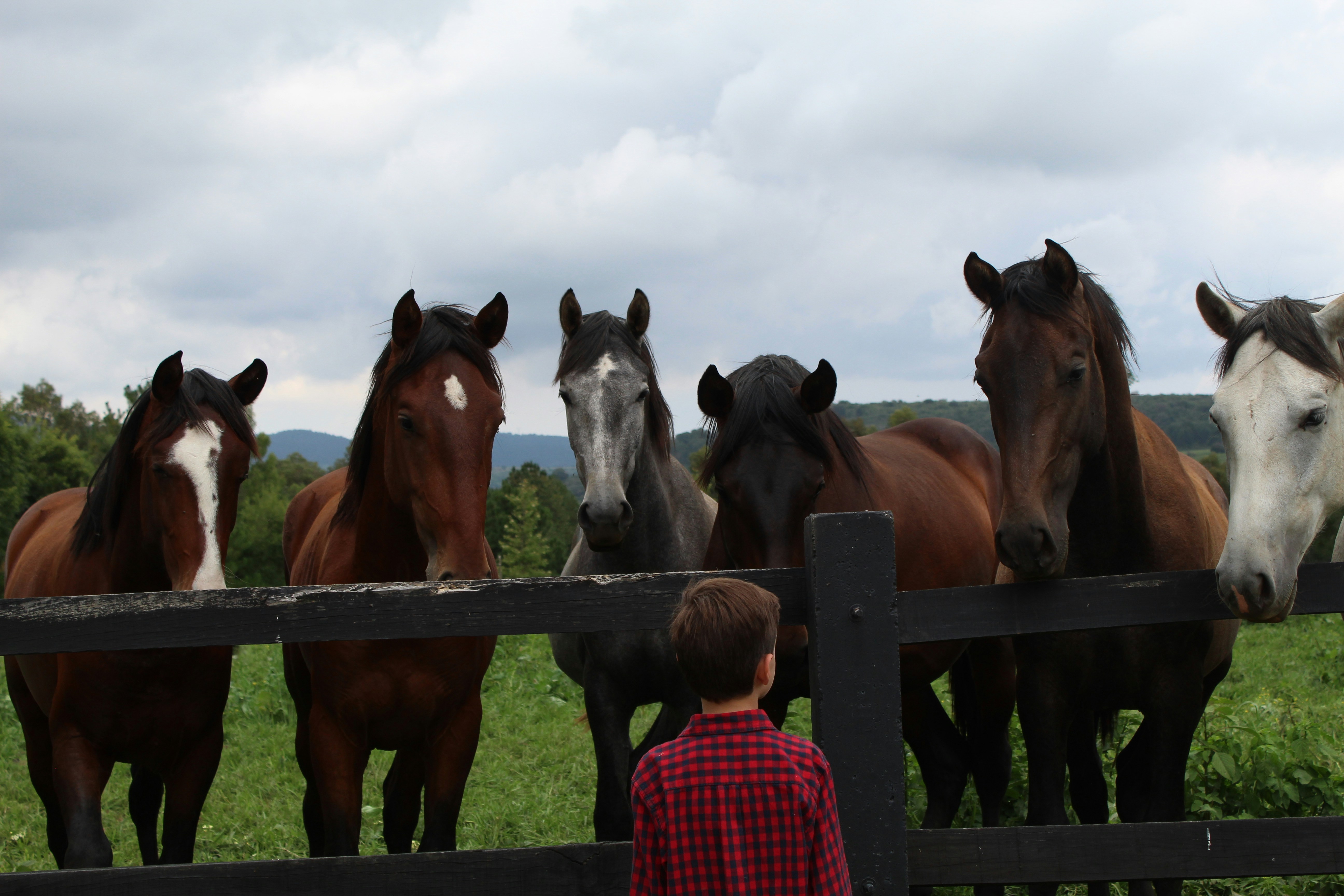 Photo by sample_in_photography