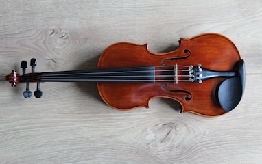 brown violin on white textile