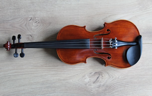 brown violin on white textile