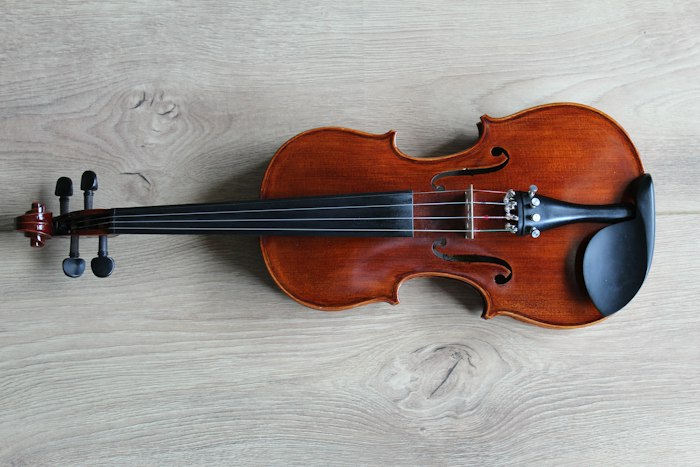 Violin and bow ready for a training session