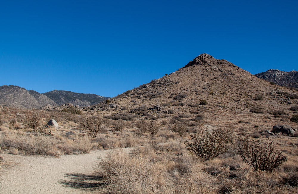 brown mountain under blue sky during daytime